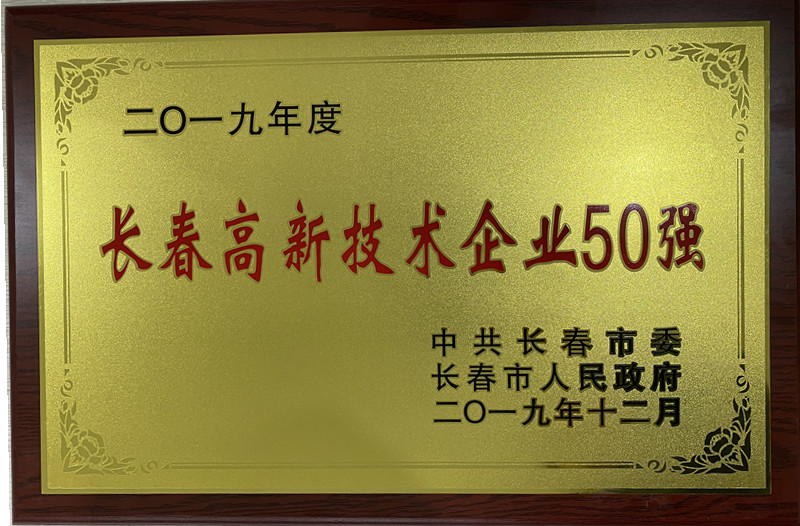 长春高新技术全网担保网50强